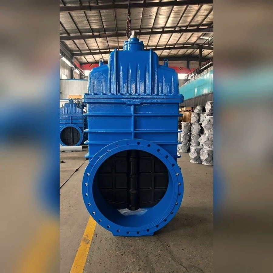 Blue flanged butterfly valve