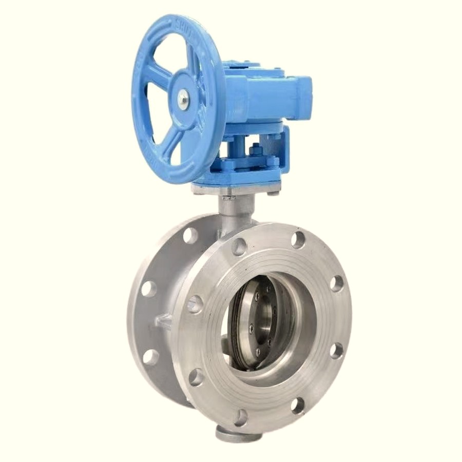 Flanged butterfly valve bore